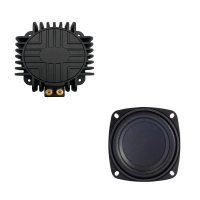 Subwoofer/Vibration Speaker